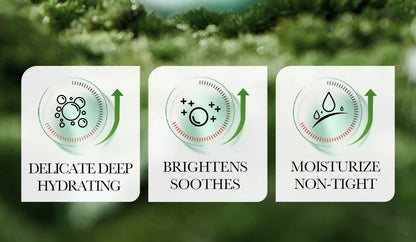 Coffret Soin Visage BIOAQUA Aloé Vera 2 Pièces - Crème Visage & Contour Yeux Hydratant